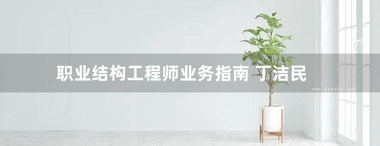 职业结构工程师业务指南 丁洁民